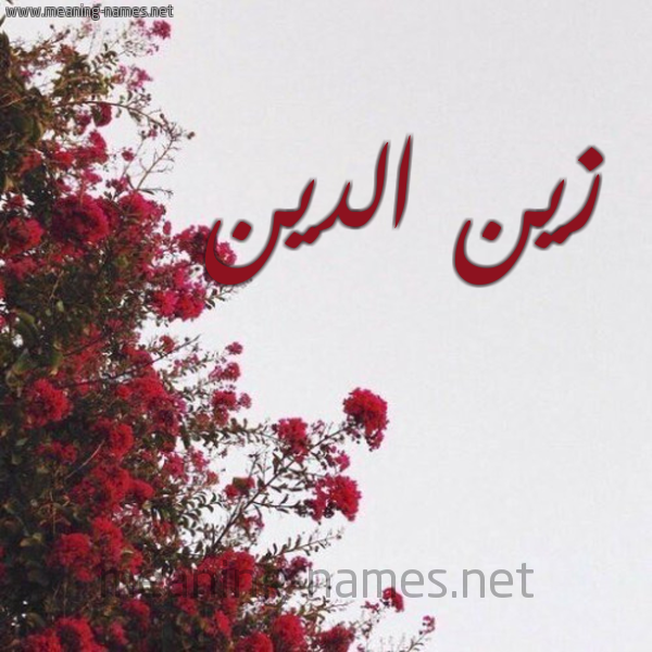 شكل 18 صوره الورد الأحمر للإسم بخط رقعة صورة اسم زين الدين Zein aldin